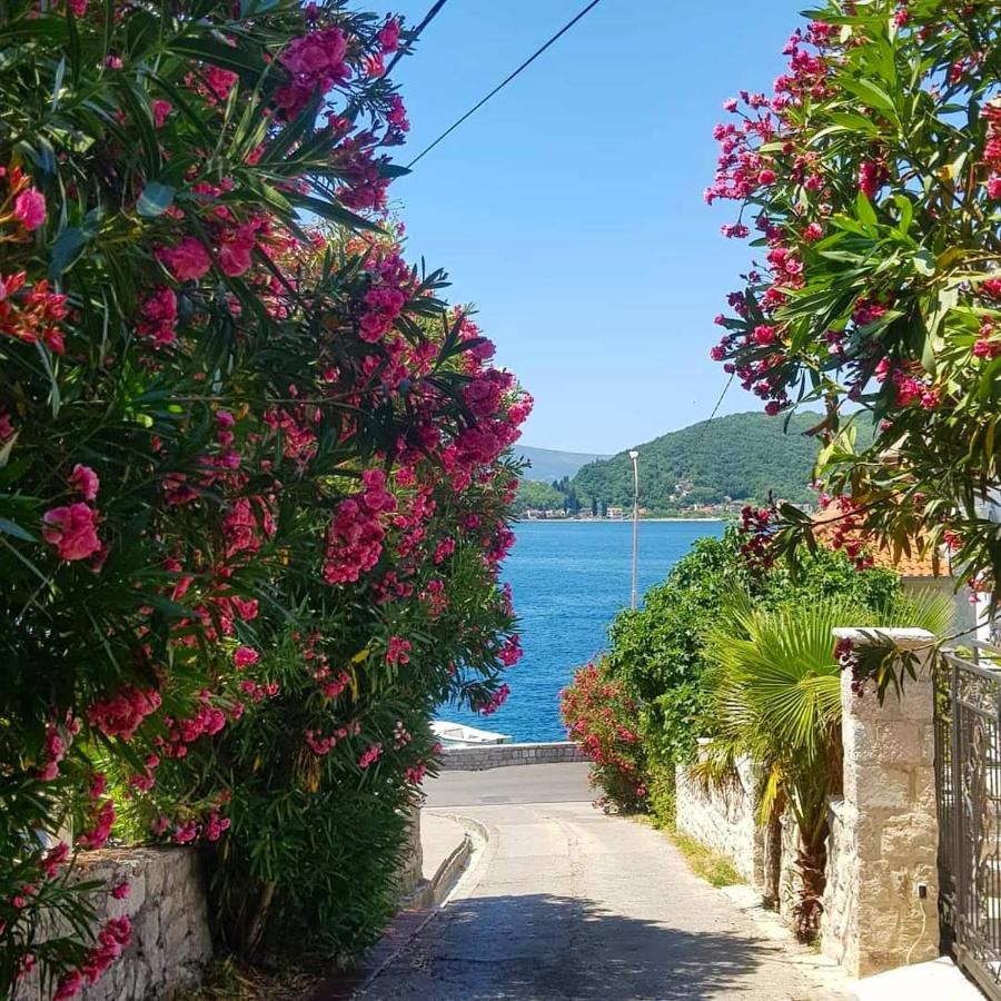 Apartments Todorovic Tivat Exterior foto